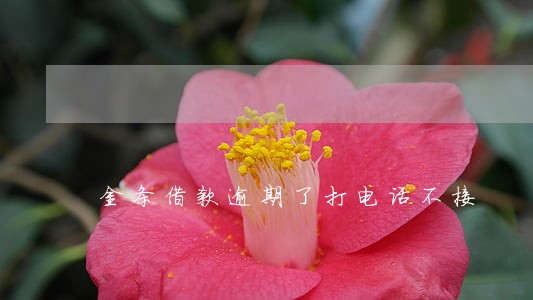 金条借款逾期了打电话不接 金条借款逾期了打电话不接