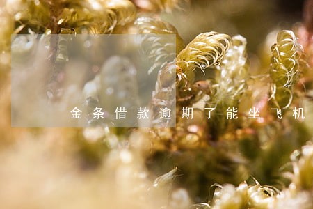 金条借款逾期了能坐飞机吗 金条借款逾期了能坐飞机吗