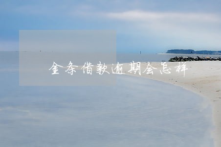 金条借款逾期会怎样 金条借款逾期会怎样