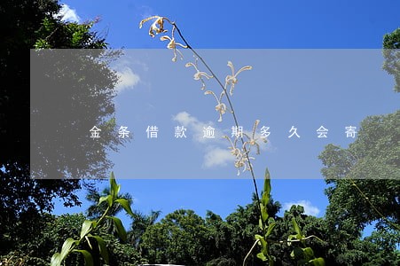 金条借款逾期多久会寄 金条借款逾期多久会寄