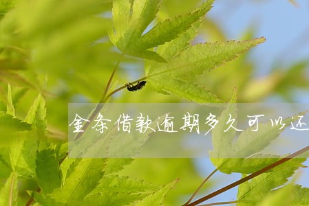 金条借款逾期多久可以还款 金条借款逾期多久可以还款