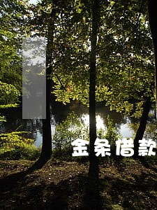 金条借款逾期怎么查询 金条借款逾期怎么查询