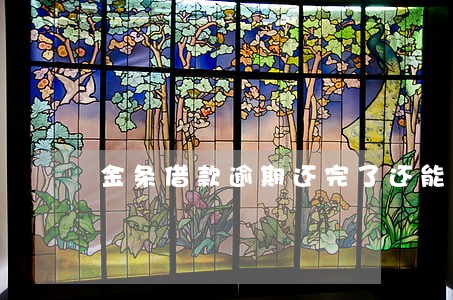 金条借款逾期还完了还能借款吗 金条借款逾期还完了还能借款吗