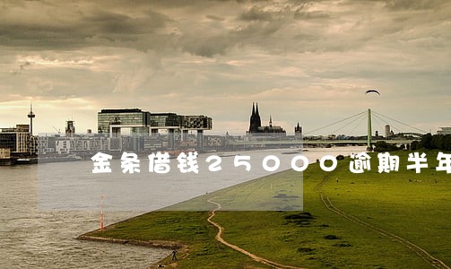 金条借钱25000逾期半年 金条借钱25000逾期半年