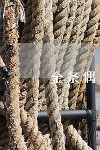 金条偶尔逾期 金条偶尔逾期
