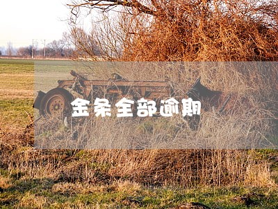 金条全部逾期 金条全部逾期