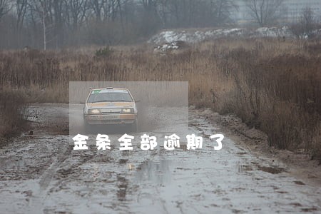 金条全部逾期了 金条全部逾期了