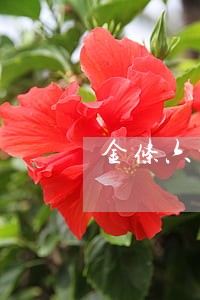 金条六千多逾期三个月 金条六千多逾期三个月