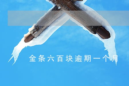 金条六百块逾期一个月 金条六百块逾期一个月