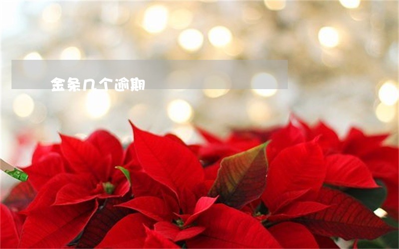 金条几个逾期 金条几个逾期