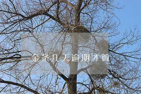 金条几天逾期才算 金条几天逾期才算
