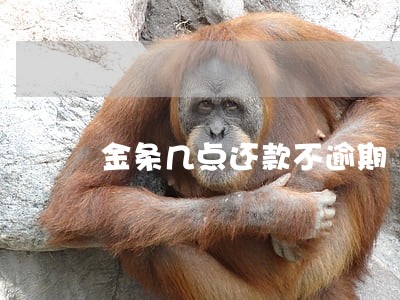 金条几点还款不逾期 金条几点还款不逾期