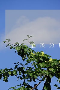 金条分期还完逾期的 金条分期还完逾期的
