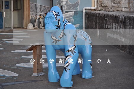 金条分期逾期一个月 金条分期逾期一个月