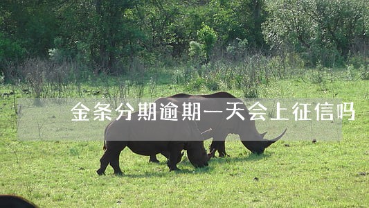 金条分期逾期一天会上征信吗 金条分期逾期一天会上征信吗