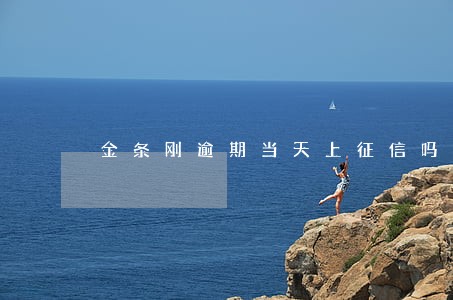 金条刚逾期当天上征信吗 金条刚逾期当天上征信吗