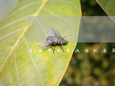 金条华能贵诚信托逾期多少天 金条华能贵诚信托逾期多少天