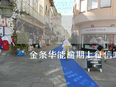 金条华能逾期上征信吗 金条华能逾期上征信吗