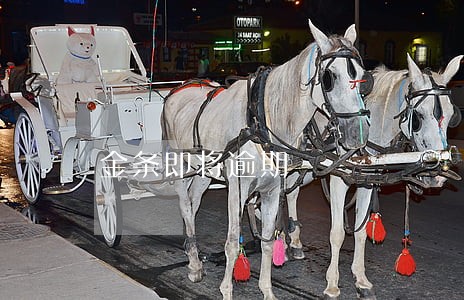 金条即将逾期 金条即将逾期