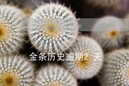 金条历史逾期2天 金条历史逾期2天