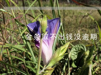 金条取不出钱没逾期 金条取不出钱没逾期