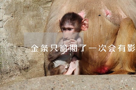 金条只逾期了一次会有影响吗 金条只逾期了一次会有影响吗