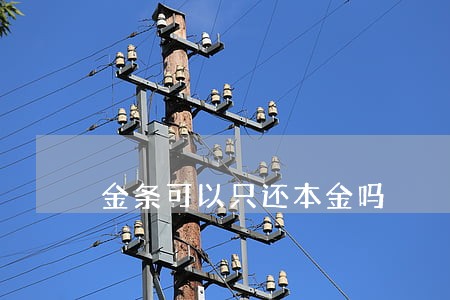 金条可以只还本金吗 金条可以只还本金吗