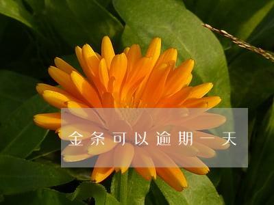 金条可以逾期一天 金条可以逾期一天