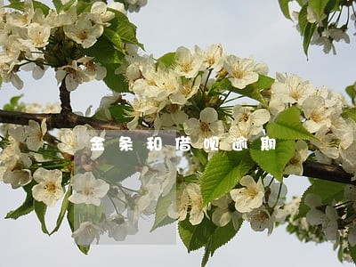 金条和借呗逾期 金条和借呗逾期