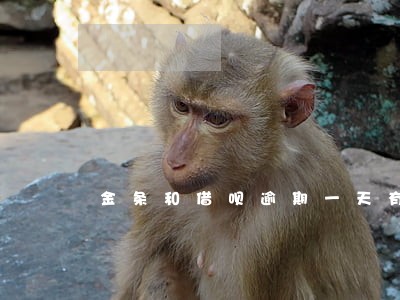 金条和借呗逾期一天有影响吗 金条和借呗逾期一天有影响吗