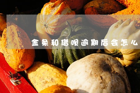 金条和借呗逾期后会怎么样 金条和借呗逾期后会怎么样