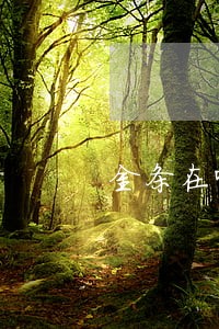 金条在哪里查询逾期 金条在哪里查询逾期