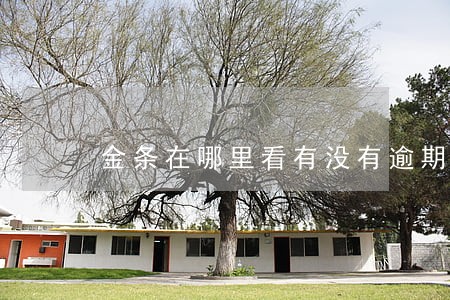 金条在哪里看有没有逾期记录 金条在哪里看有没有逾期记录