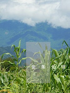 金条处理逾期部分还要求全部还清 金条处理逾期部分还要求全部还清