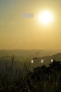 金条多少天算逾期 金条多少天算逾期