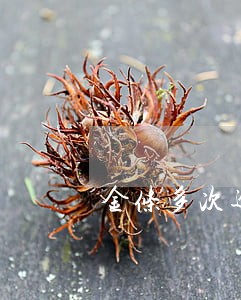 金条多次逾期让全部还 金条多次逾期让全部还