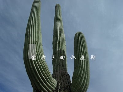 金条大面积逾期 金条大面积逾期