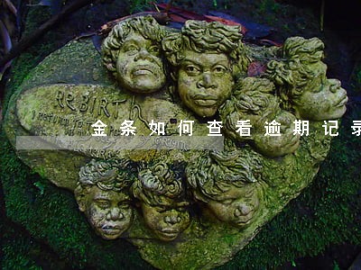 金条如何查看逾期记录 金条如何查看逾期记录