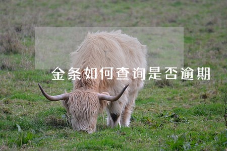金条如何查询是否逾期 金条如何查询是否逾期