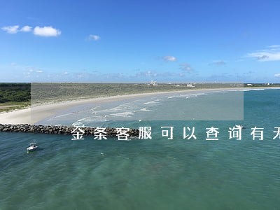 金条客服可以查询有无逾期吗 金条客服可以查询有无逾期吗