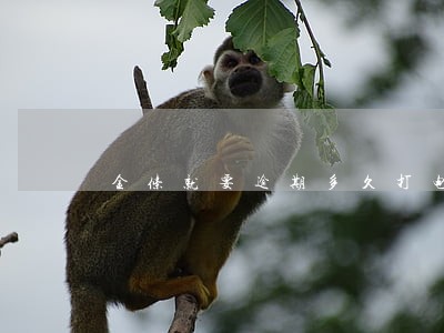 金条就要逾期多久打电话 金条就要逾期多久打电话