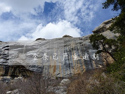 金条已严重逾期 金条已严重逾期