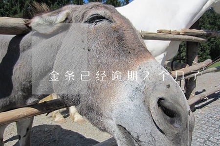 金条已经逾期2个月了 金条已经逾期2个月了