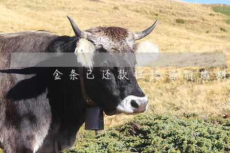 金条已还款征信当前逾期 金条已还款征信当前逾期