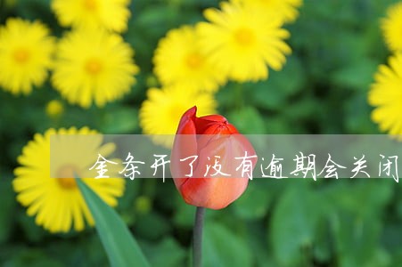 金条开了没有逾期会关闭吗 金条开了没有逾期会关闭吗