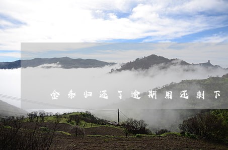 金条归还了逾期用还剩下的吗 金条归还了逾期用还剩下的吗