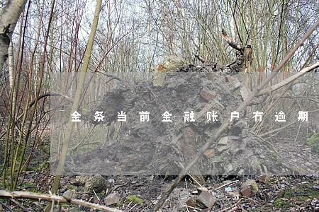 金条当前金融账户有逾期 金条当前金融账户有逾期