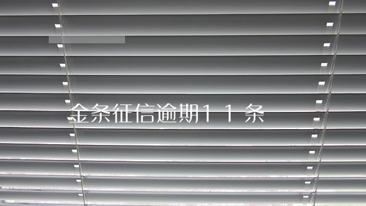金条征信逾期11条 金条征信逾期11条