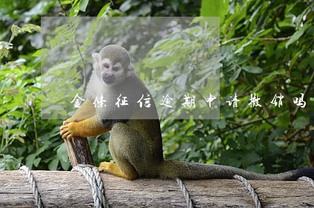 金条征信逾期申请撤销吗 金条征信逾期申请撤销吗