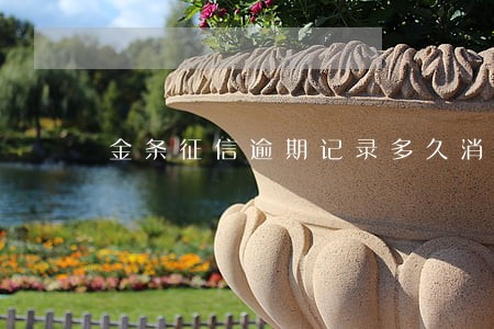 金条征信逾期记录多久消除 金条征信逾期记录多久消除